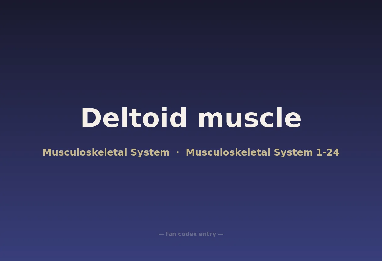 Deltoid muscle