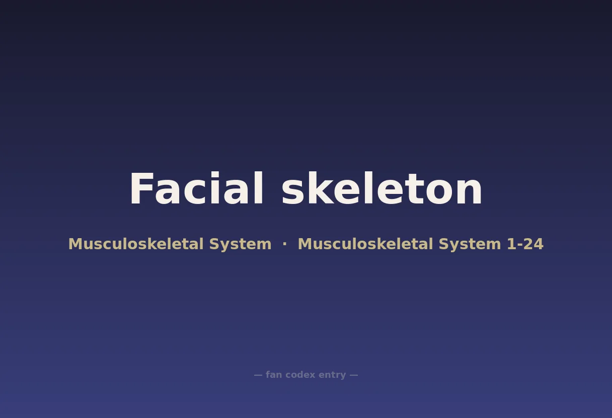 Facial skeleton