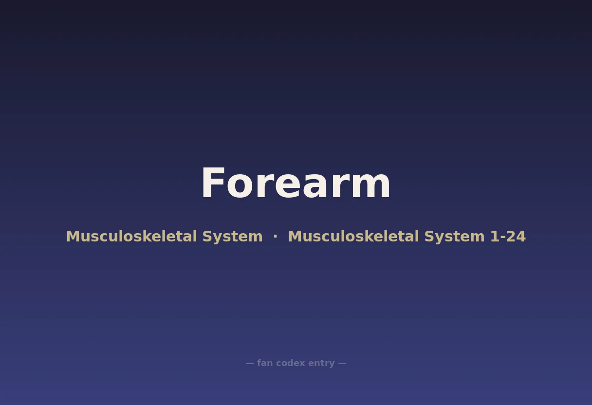 Forearm