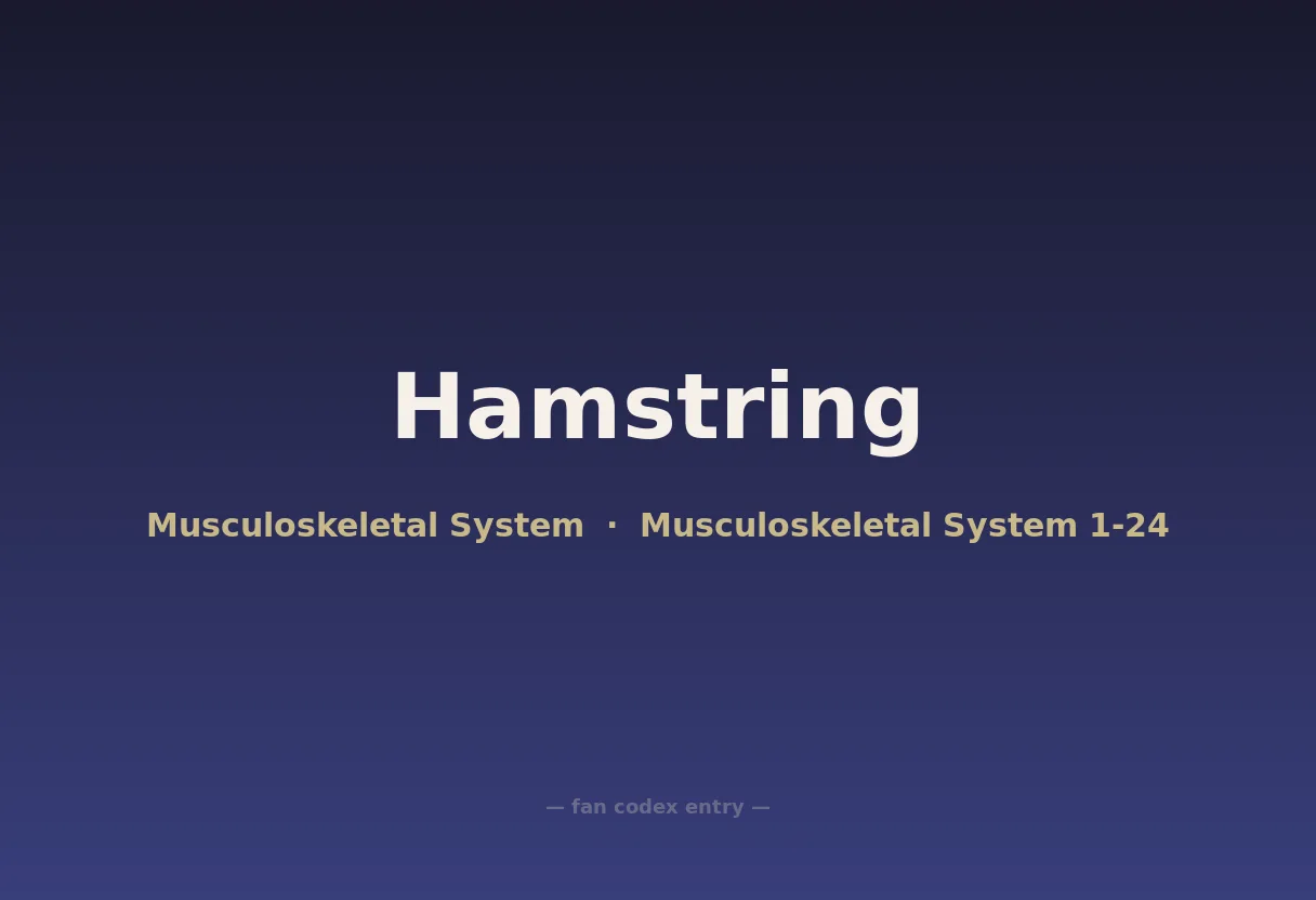 Hamstring