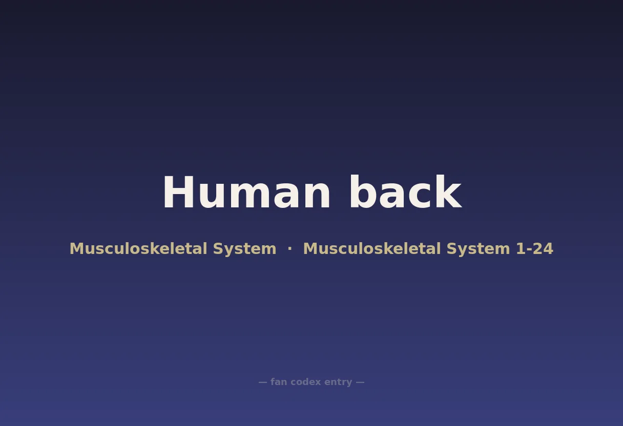 Human back