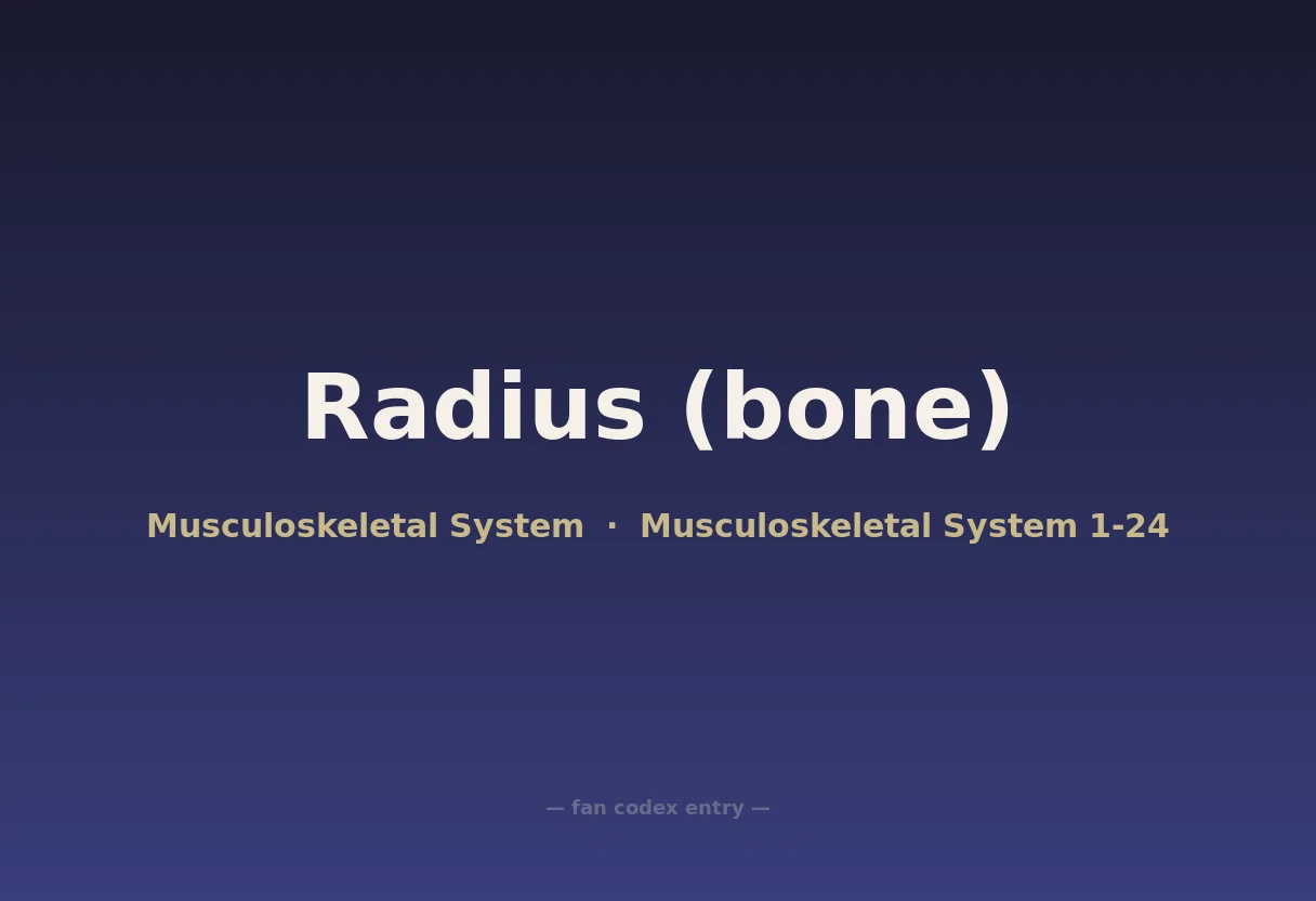 Radius (bone)