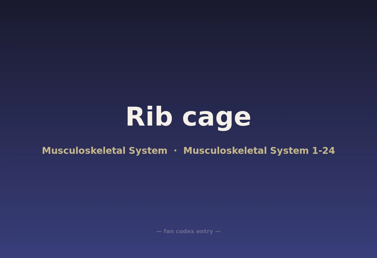 Rib cage