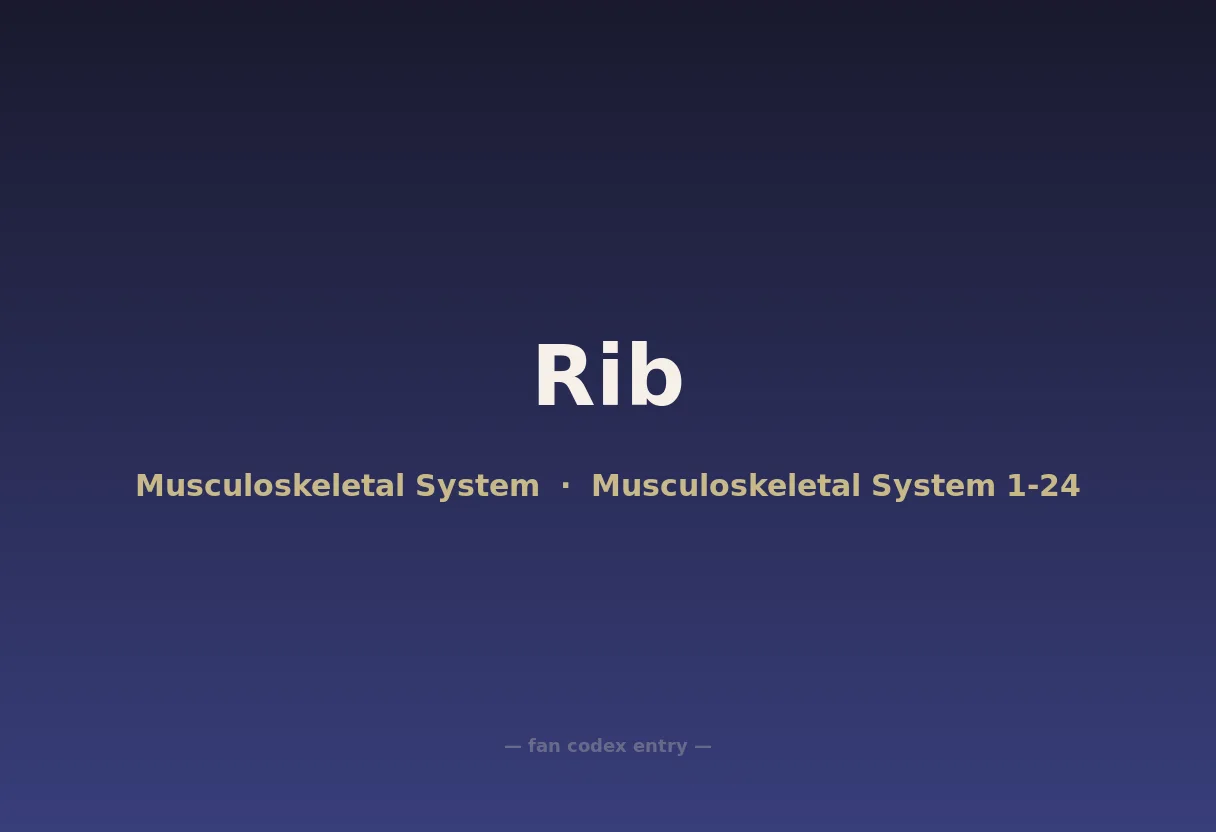 Rib