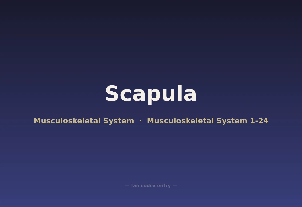 Scapula