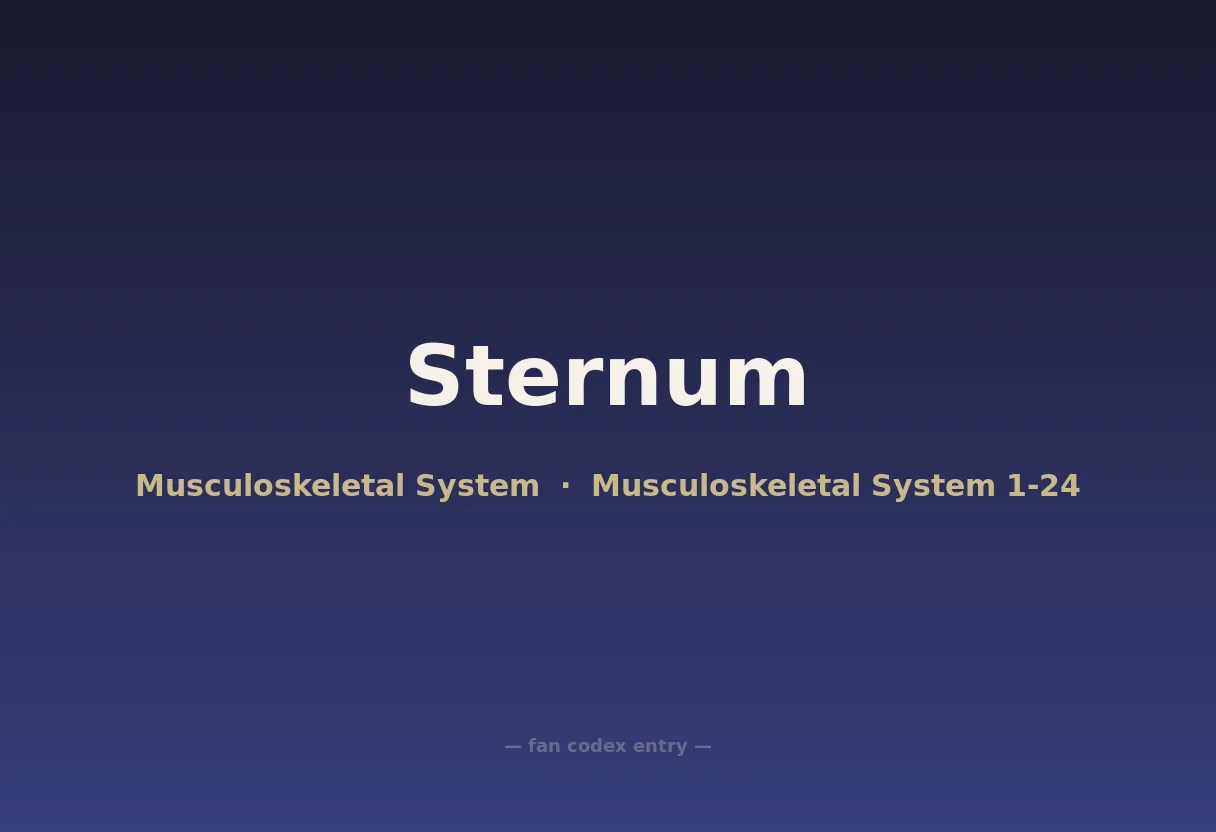 Sternum
