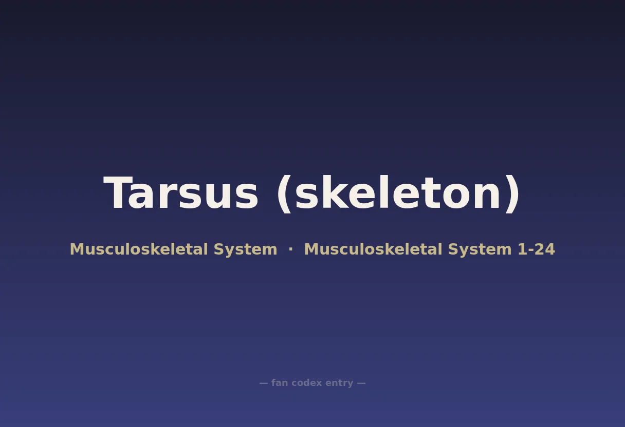 Tarsus (skeleton)