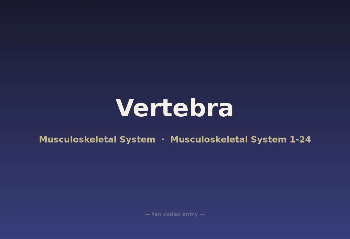 Vertebra