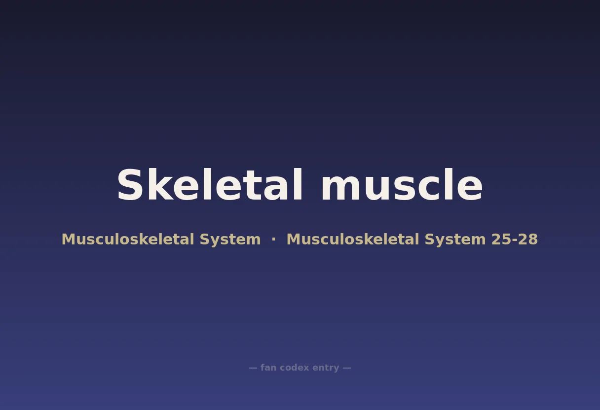 Skeletal muscle